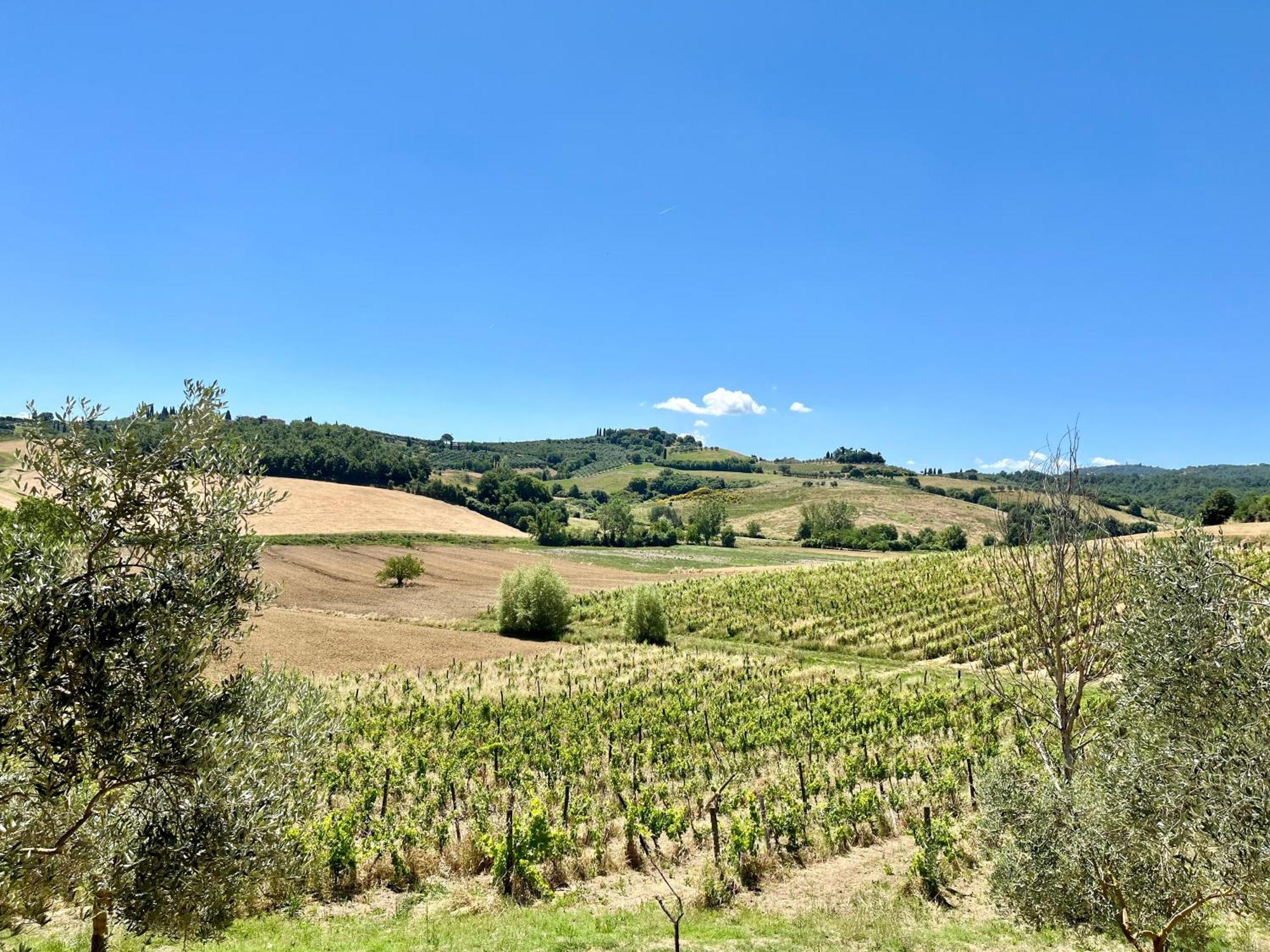 Cetine Vecchie Vila Torrita di Siena Exterior foto