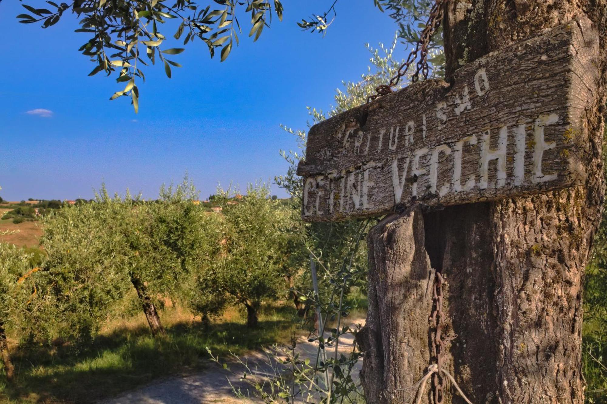 Cetine Vecchie Vila Torrita di Siena Exterior foto