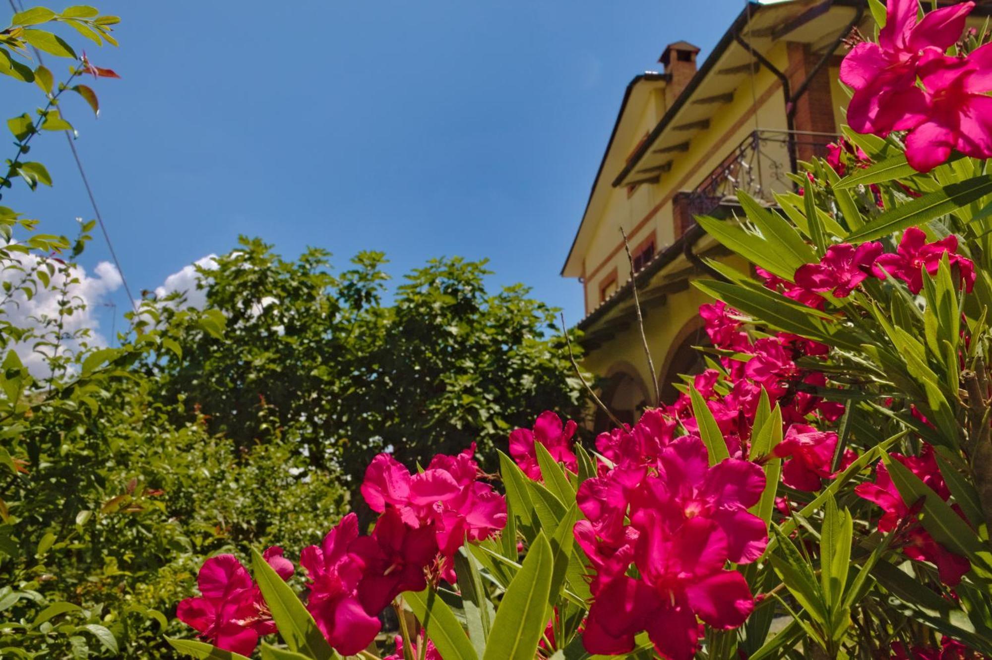 Cetine Vecchie Vila Torrita di Siena Exterior foto